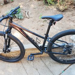 Burgundy Giant Mountain Bike