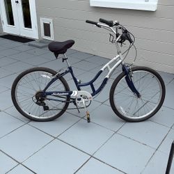 Schwinn Bike