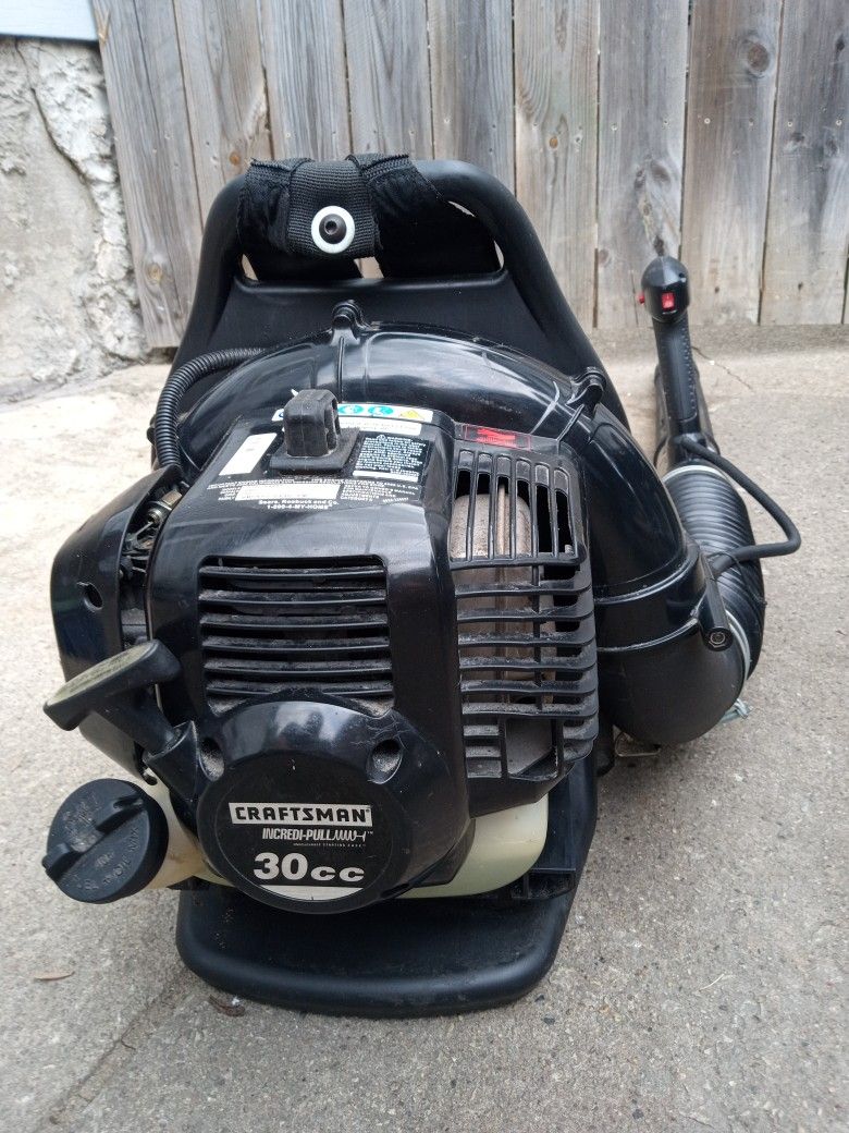 Craftsman Backpack Leaf Blower (205 MPH Airspeed)