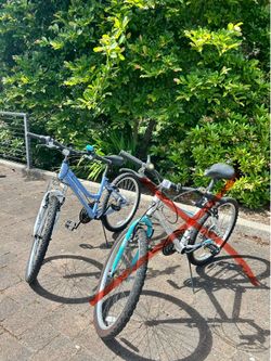 Blue girls Bike only