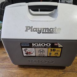 Igloo Cooler $10
