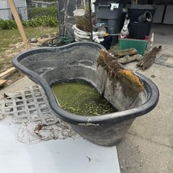 Free Pond