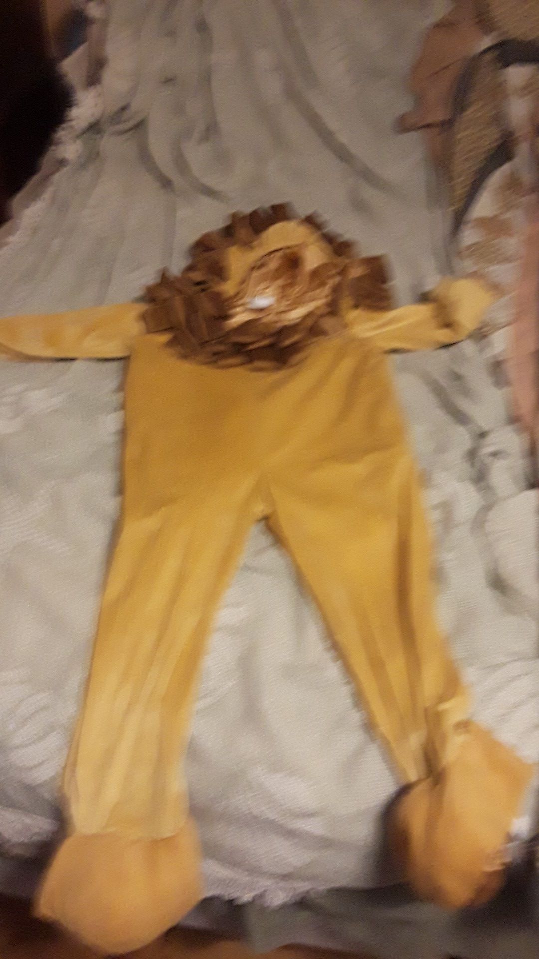 Lion costume