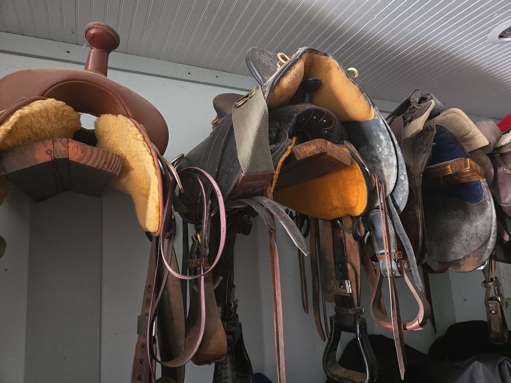 Misc Saddles Horse Tack Lot 