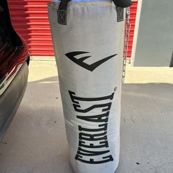 Everlast Punching Bag