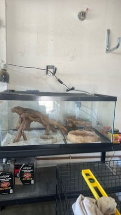 reptile tank w/with lights timer and rocks