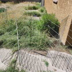 Precision Pet Fence With Gate 