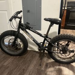 Mongoose