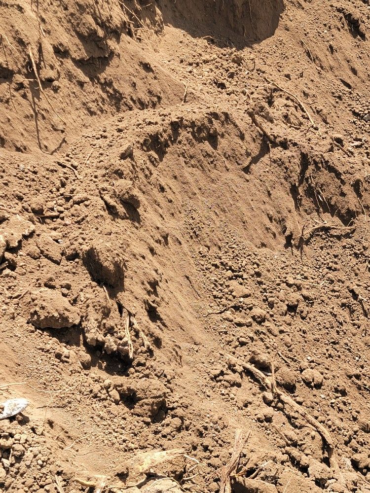 Free Fill Dirt/Soil