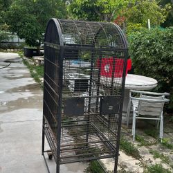 Bird Cage