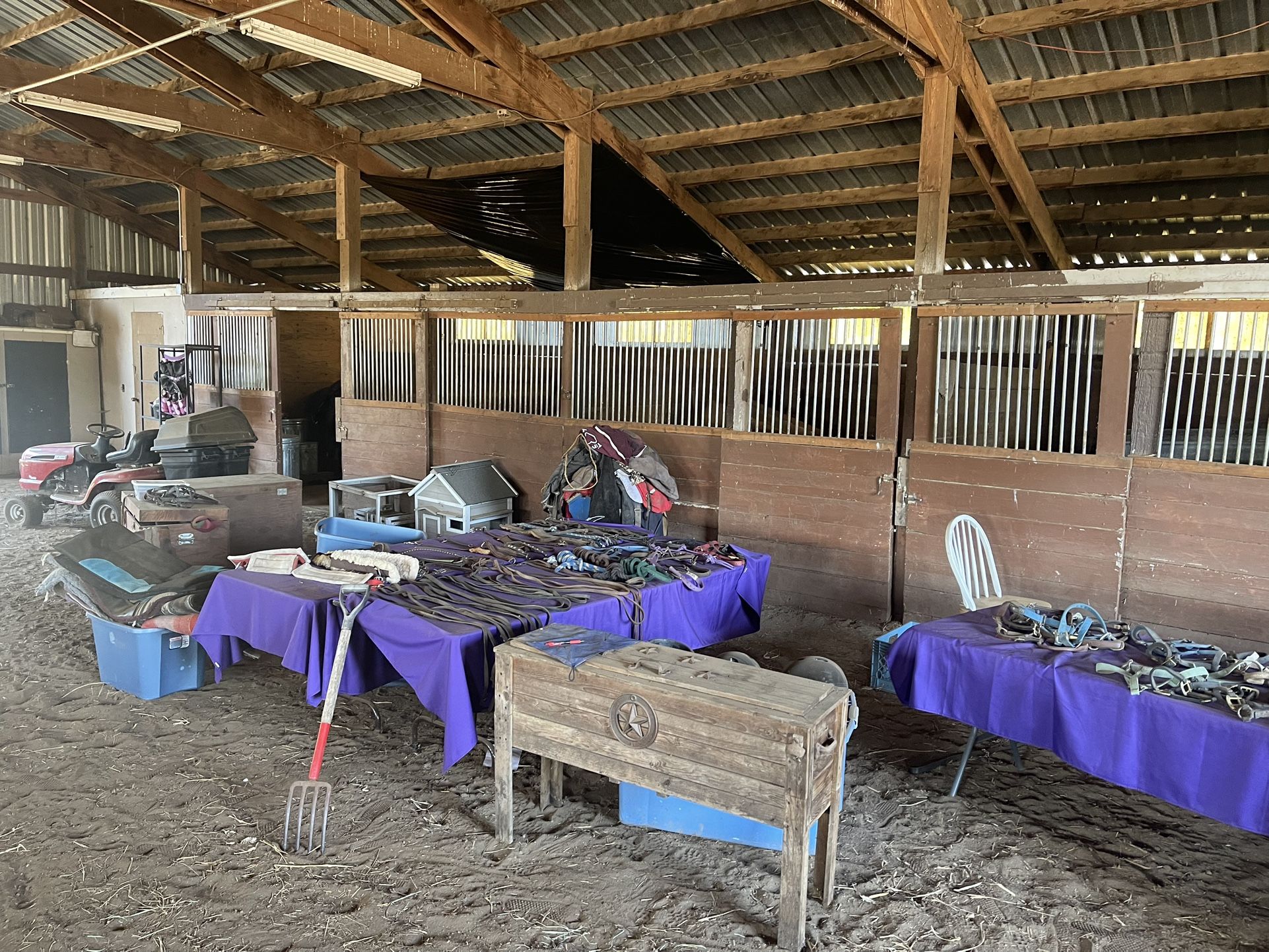 Horse Stuff 
