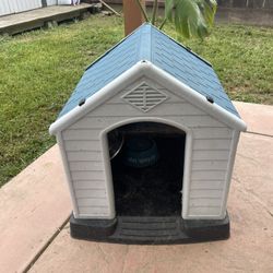 Dog House
