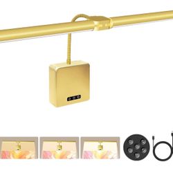 Picture Lights for Wall, 18in Metal Picture Light Art Lighting for Paintings Wireless Dimmable Lights for Pictures on Wall, with Remote and Timer for 