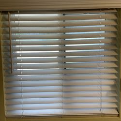 Cordless Blind Window Covering 34”x36”