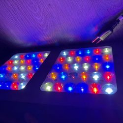 Viparspectra Grow Light Fake 