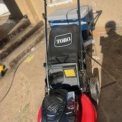 21 in. Recycler Briggs and Stratton 140 cc Gas High-Wheel Walk Behind Push Lawn Mower