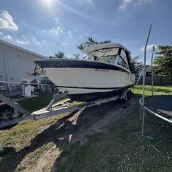 Boat - Bring Back The Shine!