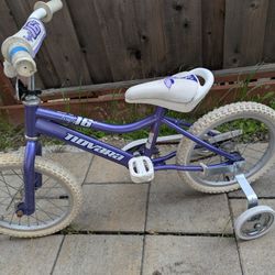 Girls 16" BIKE With Training Wheels 