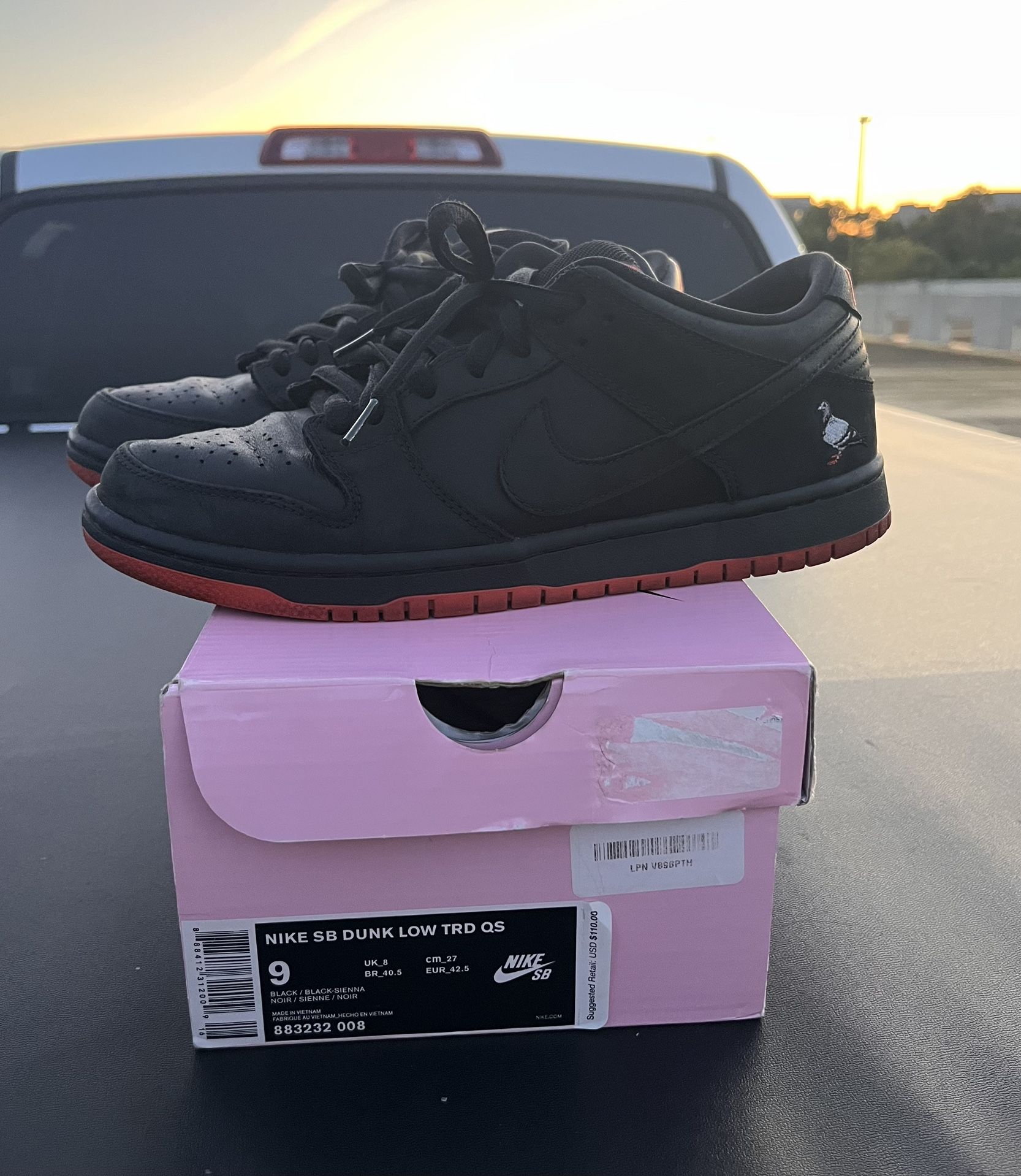 Dunk Low Pigeons Size 9