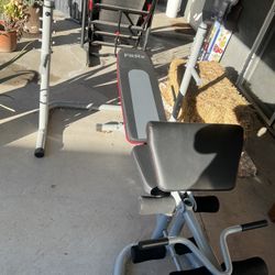 Weight Bench With Preacher Curl And Rack 