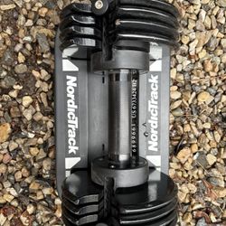 Adjustable Dumbbells 