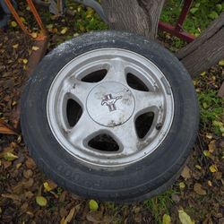 Wheels 16 In...mustang