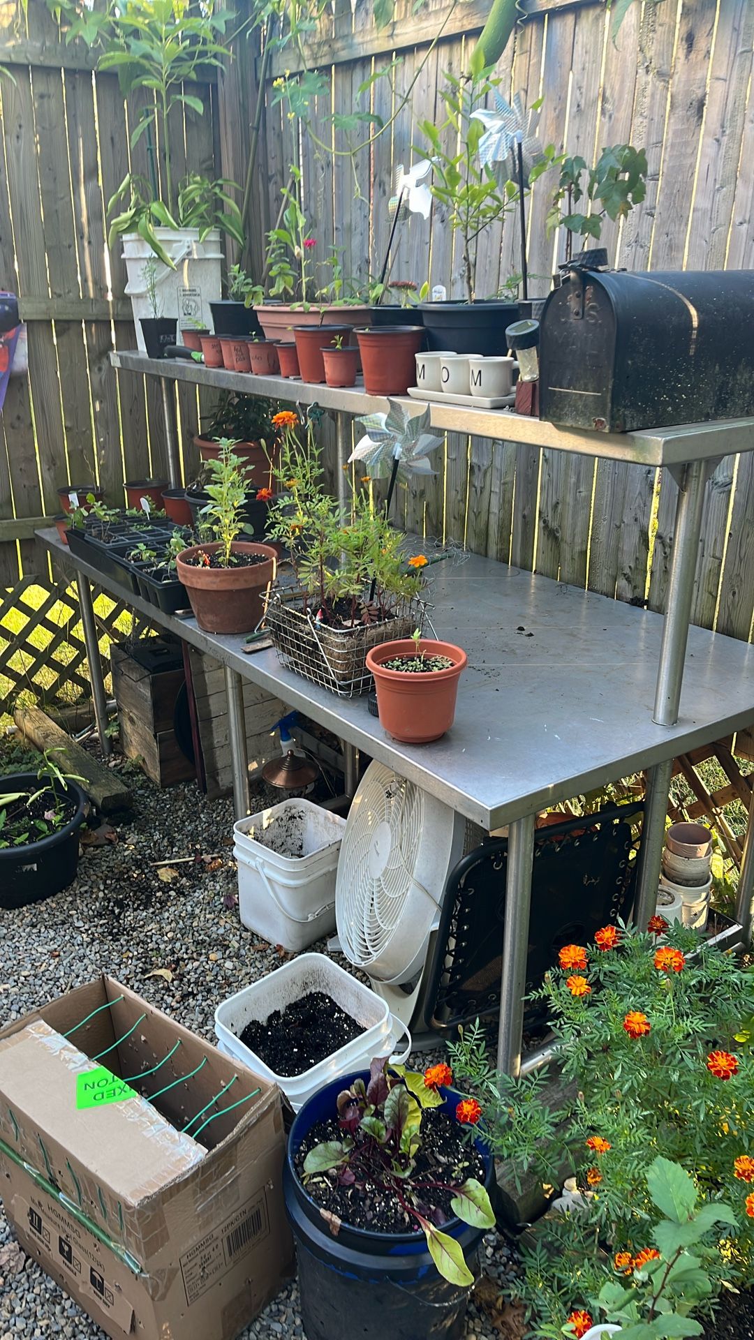 Win Holt Stainless Steel 3’ X7’ With Shelf About 52” High