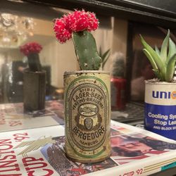 Vintage german lager beer vereinsbrauerei Can With Cactus 