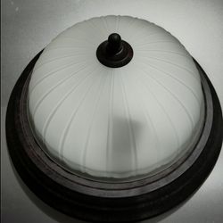 Frosted Glass Ceiling Light Fixture 