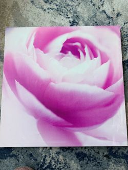22”x22” Pink flower Canvas Wall Art