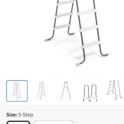 52” Pool Ladder 