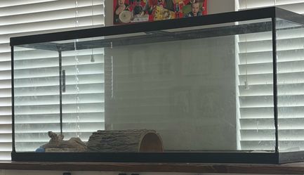 Reptile tank