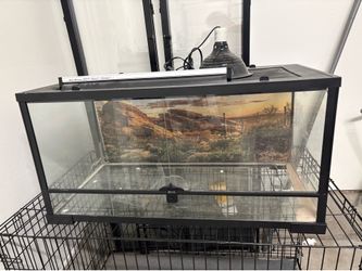 40 gallon reptile tank