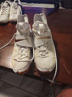 Nike Lebron White wine