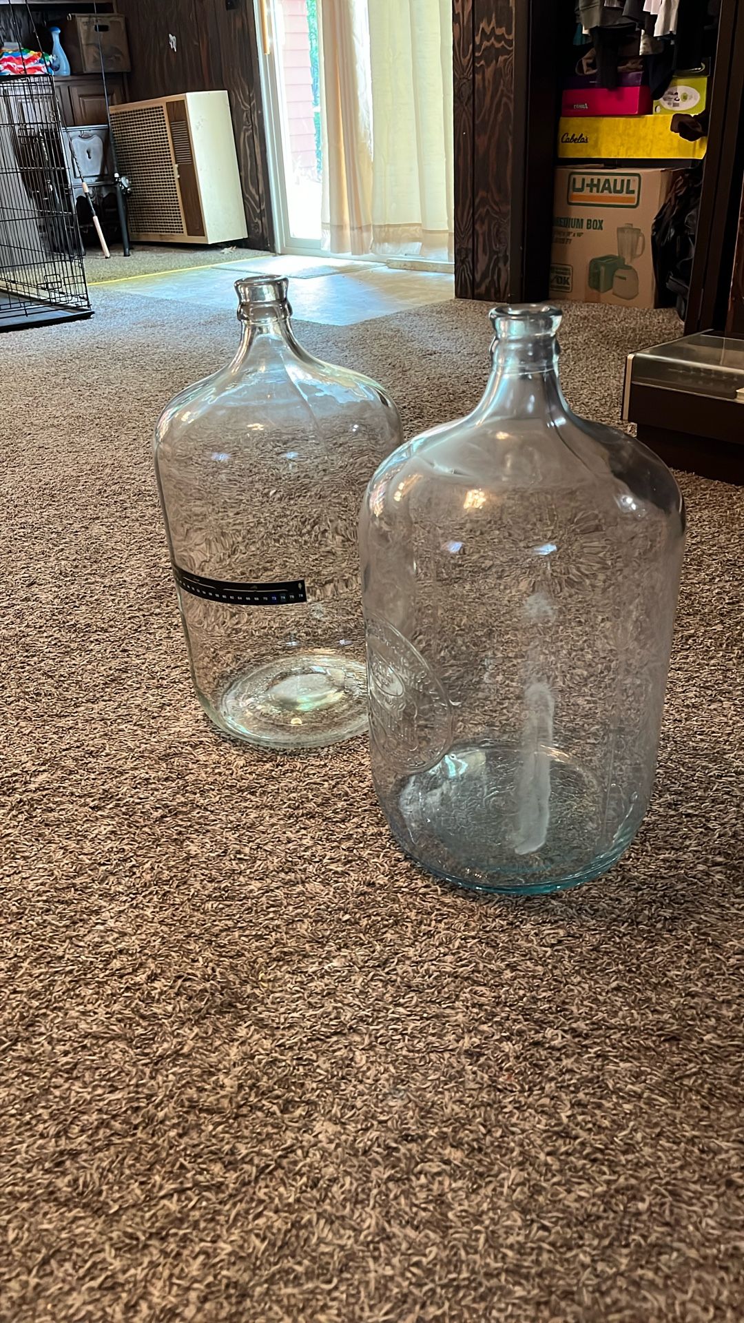 5 Gallon Glass Carboys