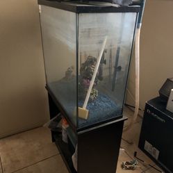 FISH TANK ONLY And Rock Theme 