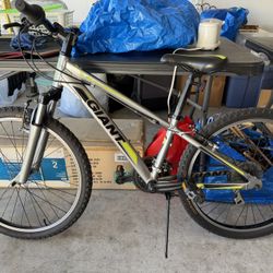 Boys Giant XTC Mountain Bike 20 inch