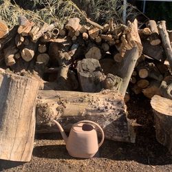Free Wood