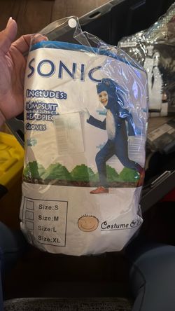 Sonic costume