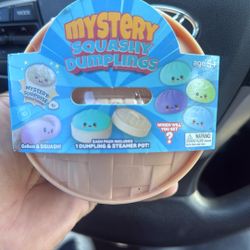 MYSTERY SQUASHY DUMPLINGS
