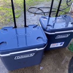 Cooler Coleman 