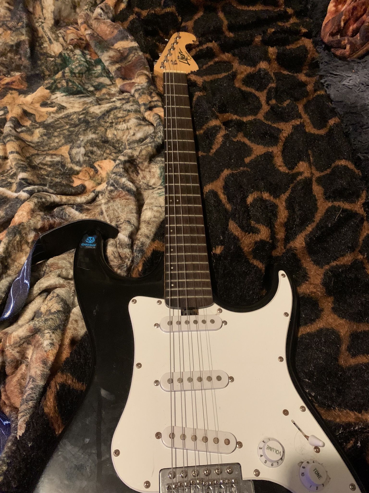 Electric Guitar