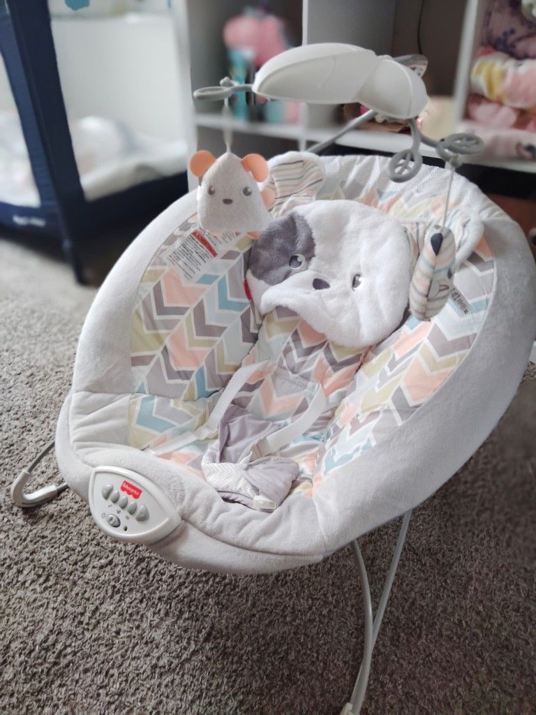 SweetSnugaPuppy Bouncer Chair