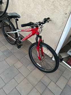Trek CAT 220 24” Wheels Mt. B N ike