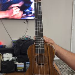 Ukulele