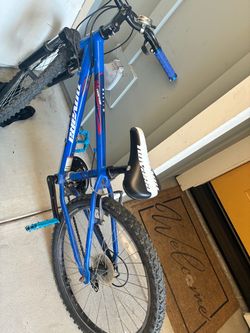 Mountain bike