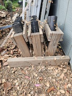 12 shot rack.