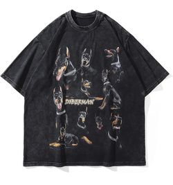 Aelfric Eden Graphic Tees Doberman Washed T-Shirt