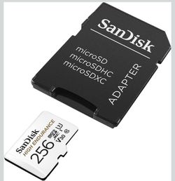 SANDISK High Endurance