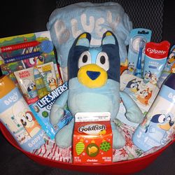 Bluey Basket 